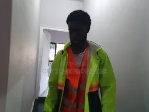 Bulk Fumigation of Cockroach,Ants,Snakes and Disinfection