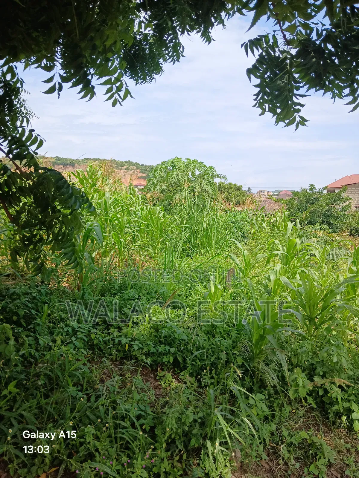 2plots of Land at Botiano for Sale