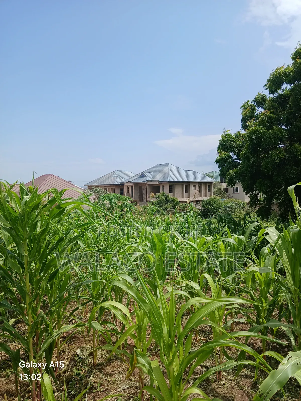 2plots of Land at Botiano for Sale