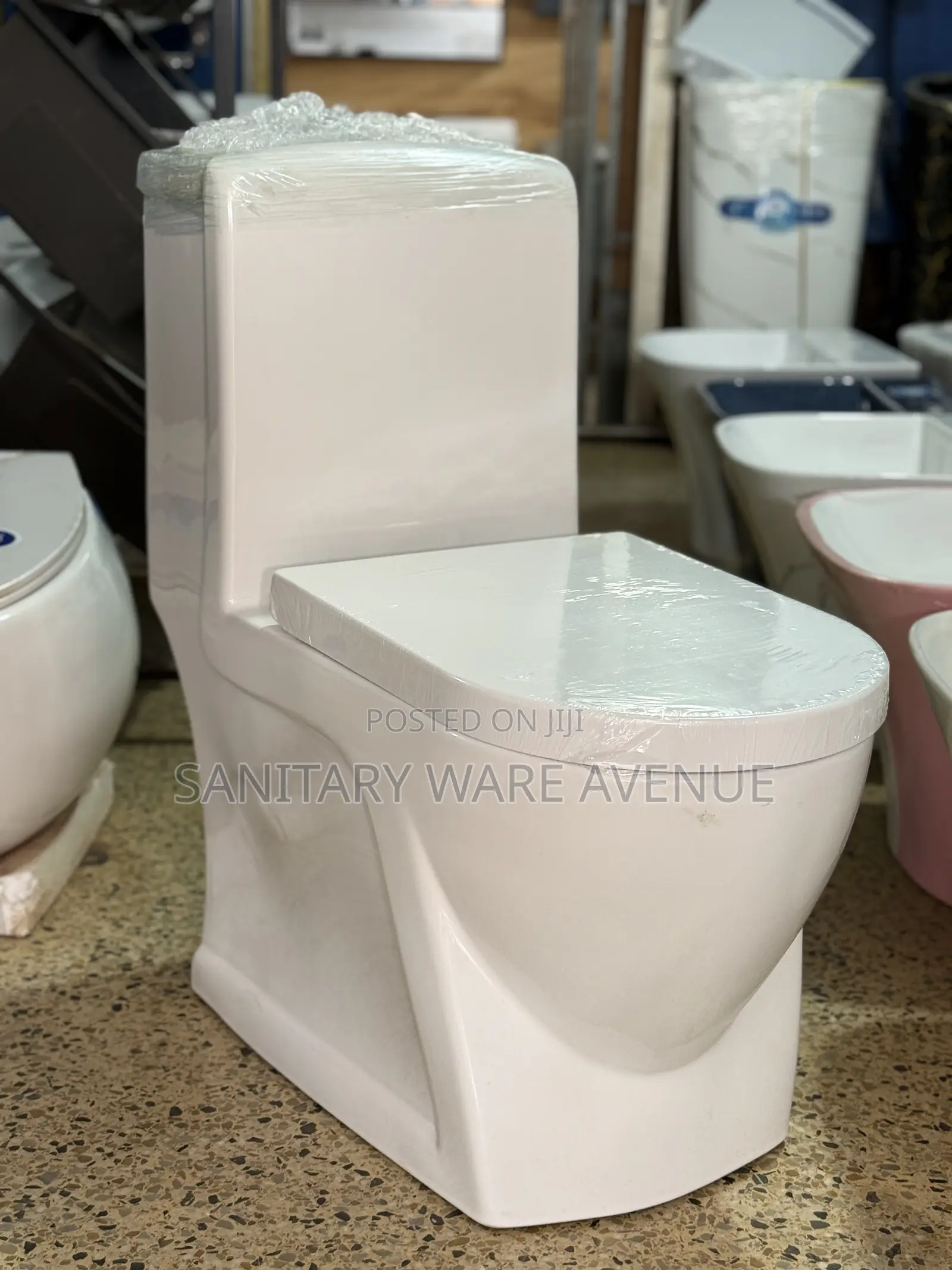 Combined Water Closet - Luxury Toilet