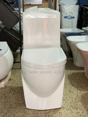 Combined Water Closet - Luxury Toilet