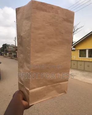 Plain Kraft Paper Bag