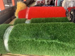 Affordable Astroturf Installation/Turf Sales.Dbillionzdesign