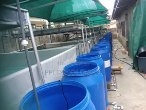 Tilapia Rearing System Setup