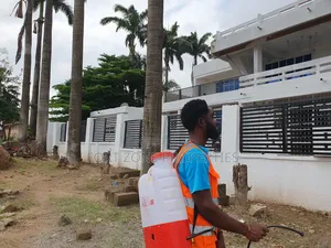 Buokrom Fumigation With Cleantex