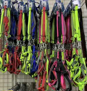 Dog Chain / Collar