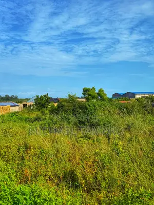 2 Plots of Land for Sale at Akoti Junction