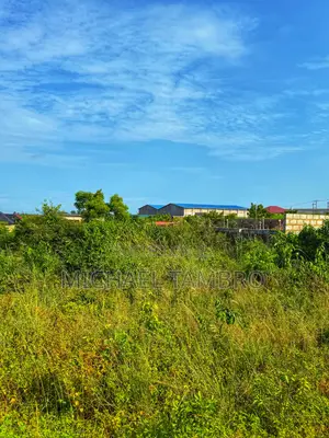 2 Plots of Land for Sale at Akoti Junction