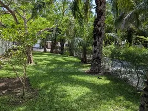 8bdrm Mansion in Cantonments for rent