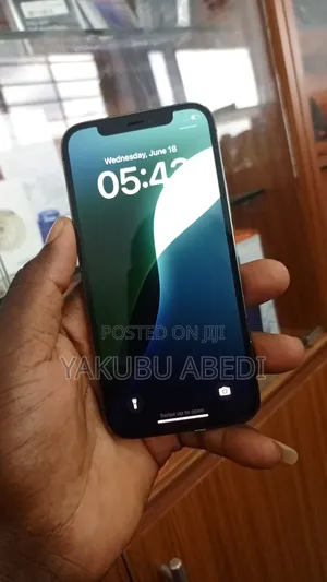 Apple iPhone 12 Pro 128 GB Gray