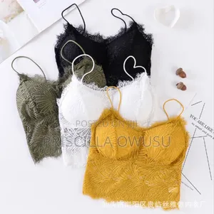 Sexy Lace Lingerie With Bra / Ladies Passed Vest