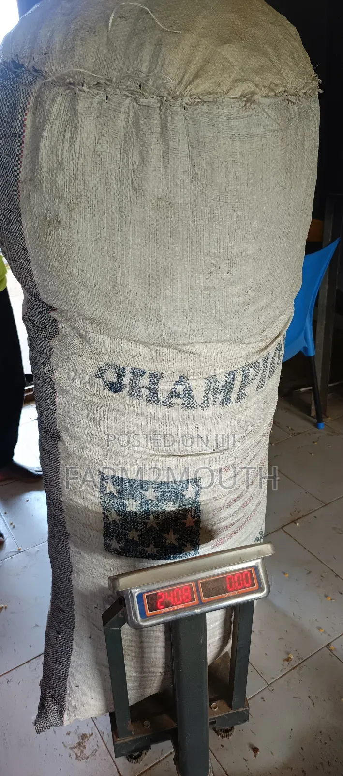 Dried Chilli Pepper