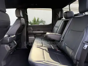Ford F-150 2025 Gray