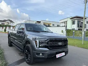 Ford F-150 2025 Gray