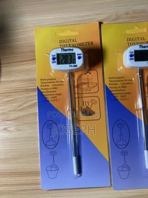Digital Thermometer