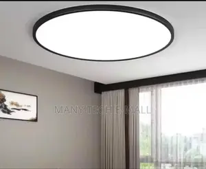 Warm and White Ceiling Light