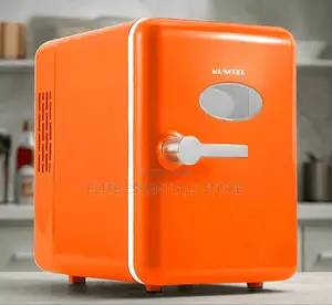 Portable Mini Fridge Cooler Warmer for Cars Home Offices