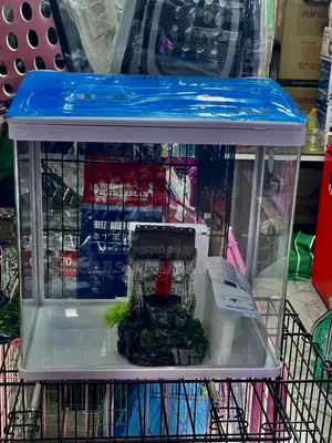 1 Feet Aquarium ( Miss Princes Aquarium )