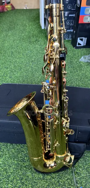 Saxophone/Alto- Suck