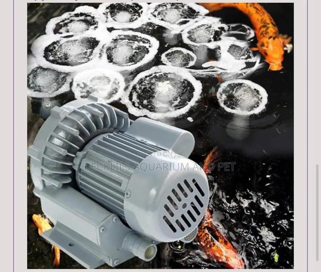 Hailea 24 Outlet Air Blower ( 290 W)