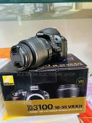 Nikon 3100 Digital SLR Camera