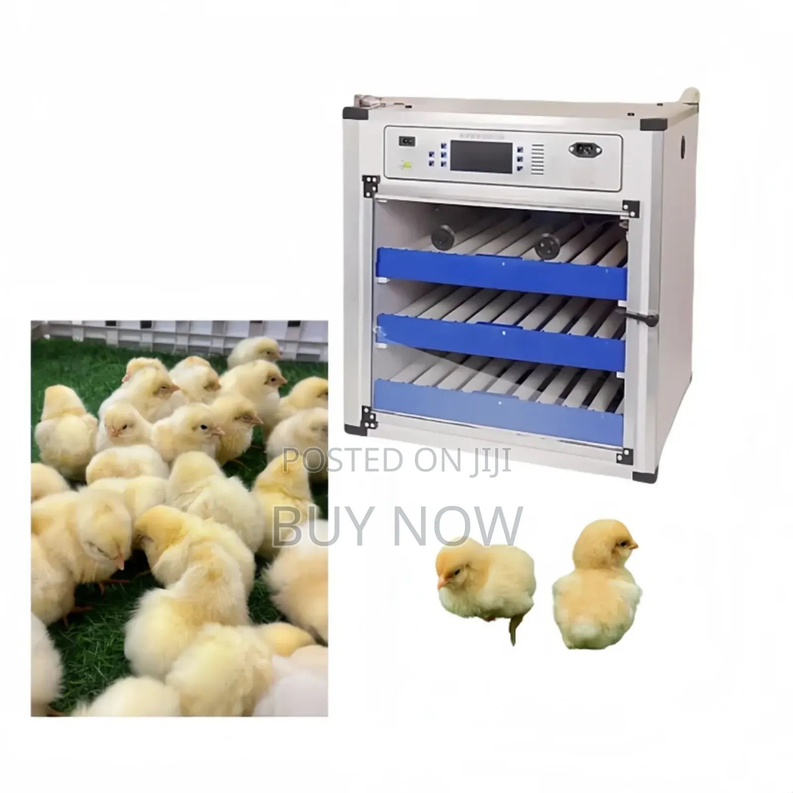 Egg Incubator(204 Capacity Automatic)