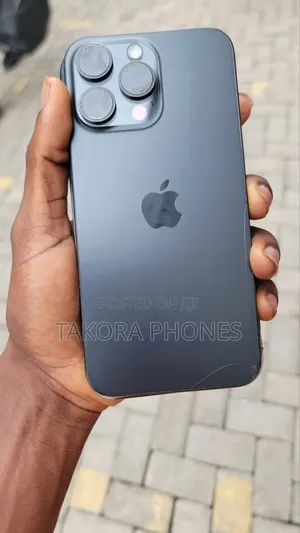 Apple iPhone 15 Pro Max 256 GB Gray