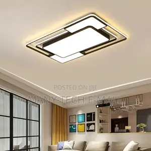 Brand New Hall Ceiling Light