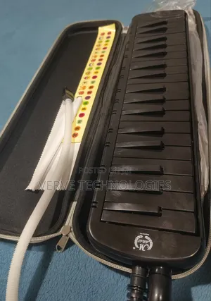Professional Melodica Keyboard Reed Organ Harmonica