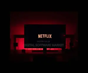 Netflix Account 1 User 3 Months