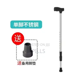 Walking Stick Available