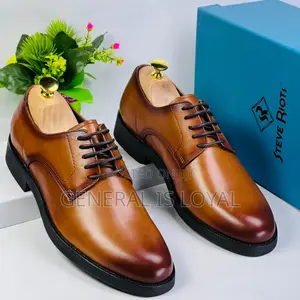 Steve Riots Brown Lace Shoe