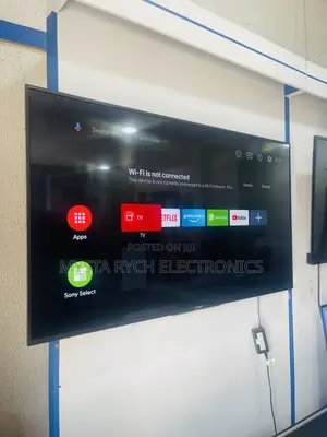 Sony Bravai