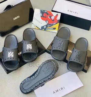 Amira Slides