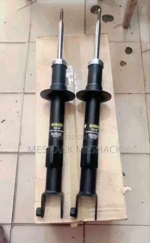 Chrysler 300 Front Shocks