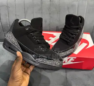 Air Jordan 3 Black Cat