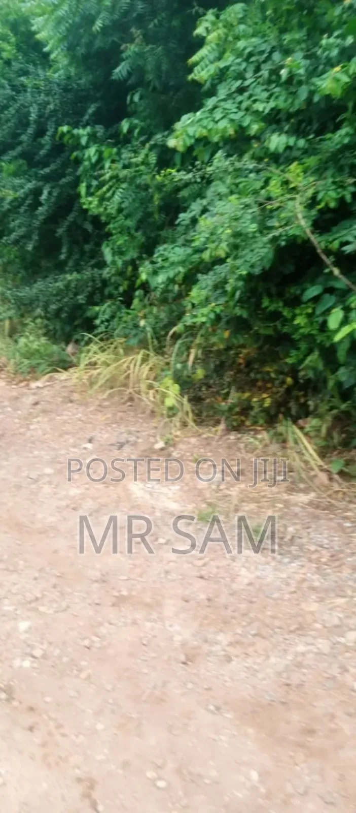 2plot of Land for Sale at Tuba
