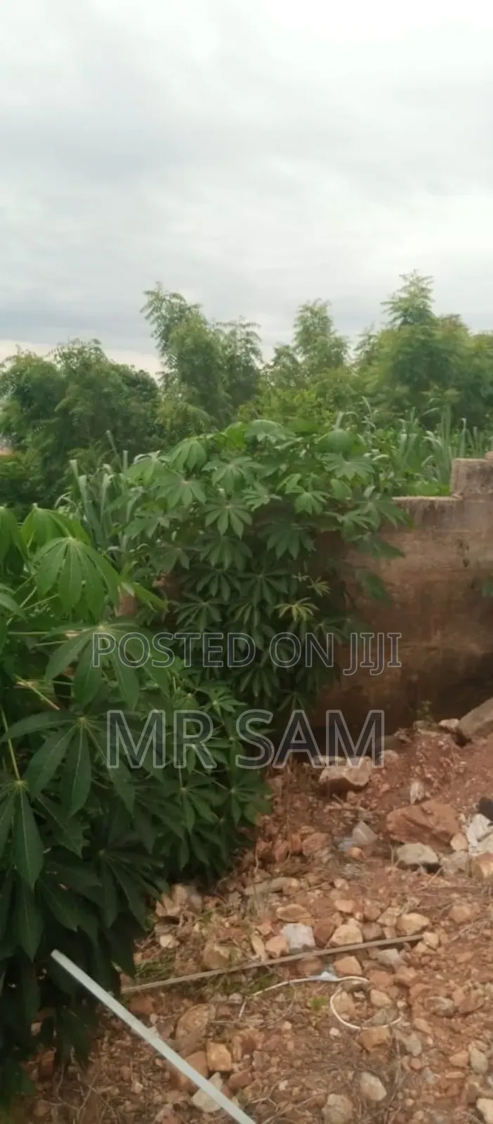 2plot of Land for Sale at Tuba