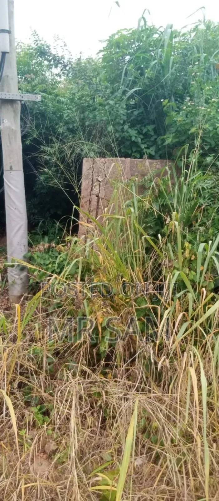 2plot of Land for Sale at Tuba