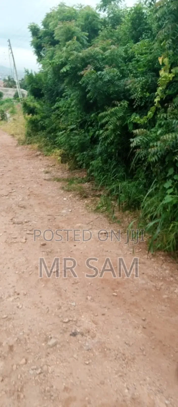 2plot of Land for Sale at Tuba