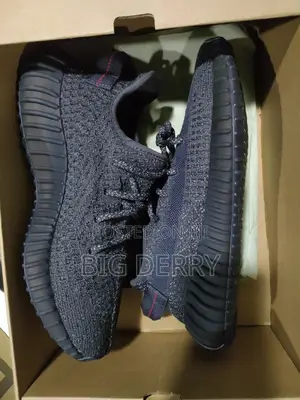 Adidas Yeezy Boost