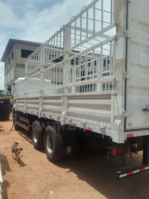 Brand New Cargo Trucks for Sale, Shacman H3000