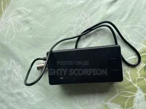 48v Electric Bike Charger