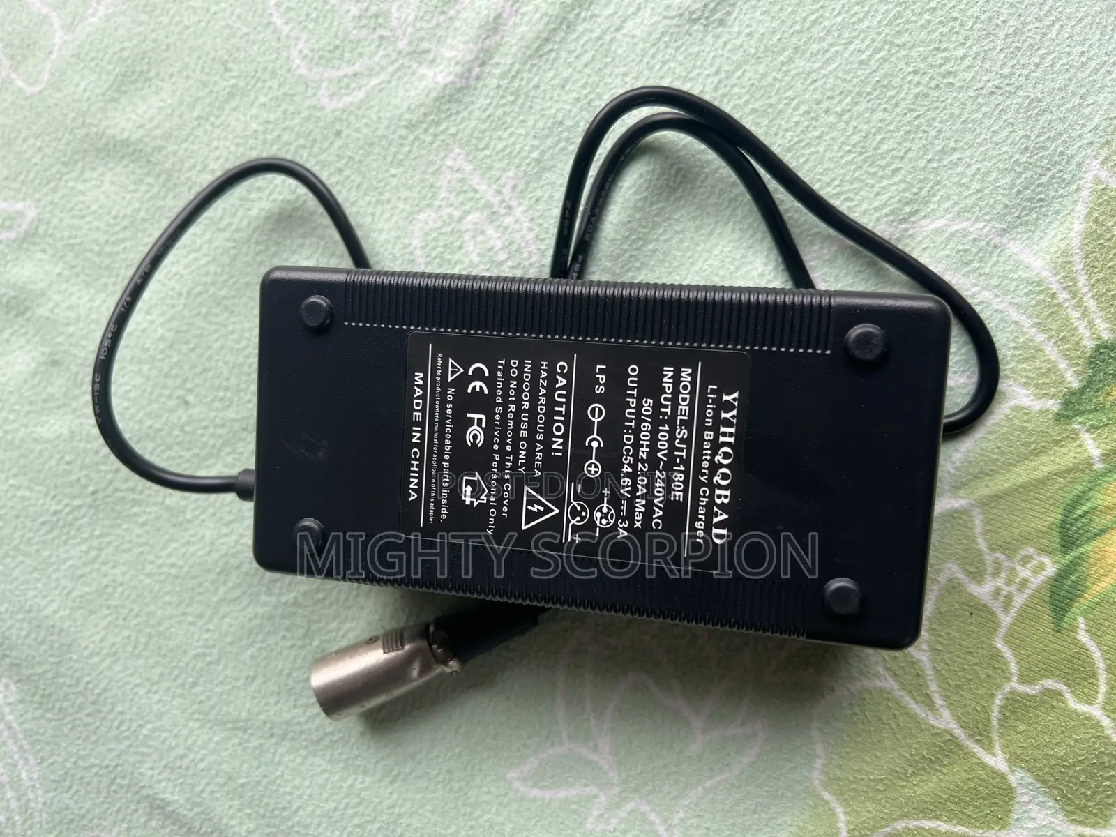 48v Electric Bike Charger