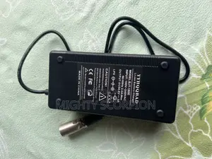 48v Electric Bike Charger