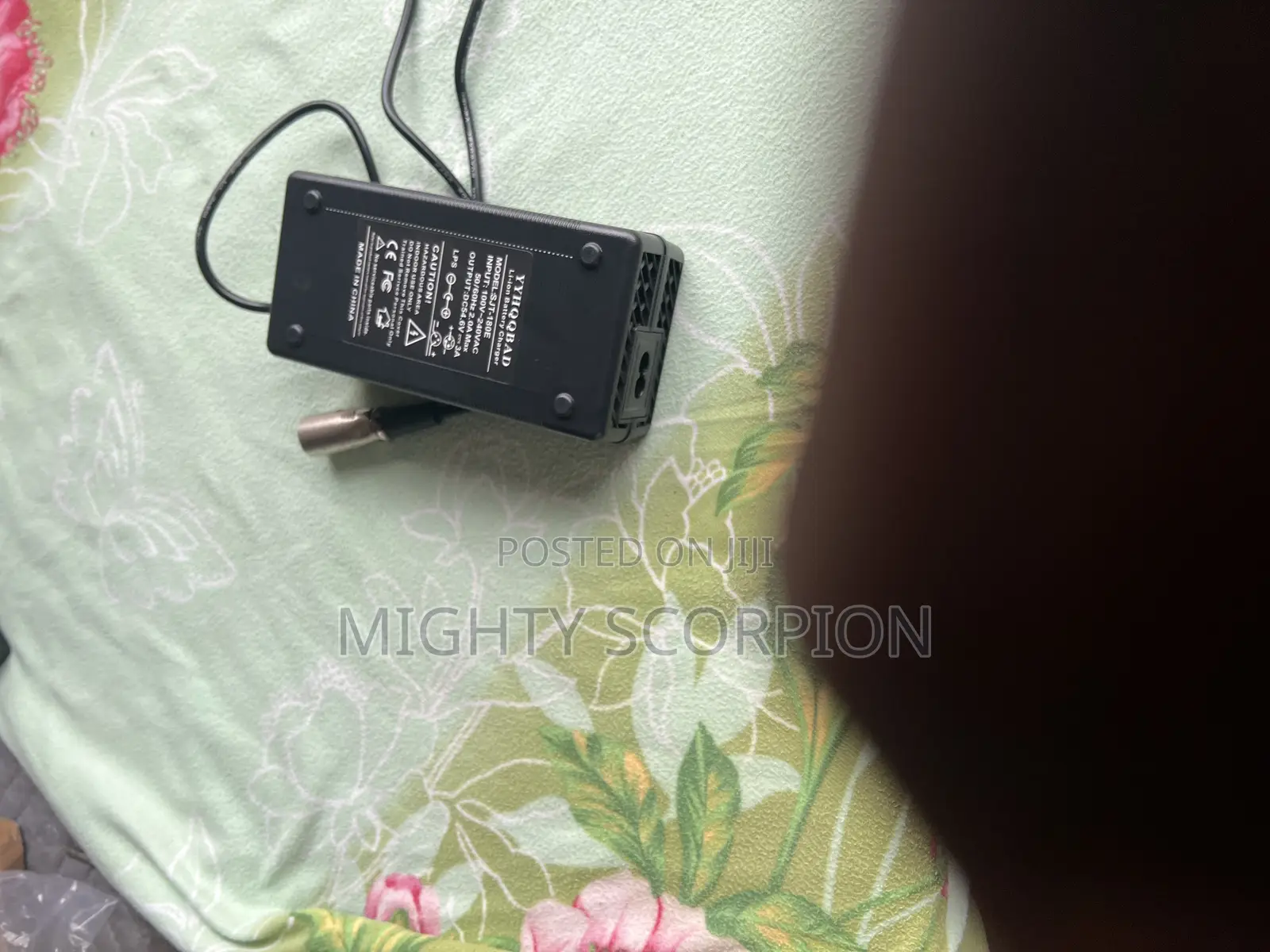 48v Electric Bike Charger