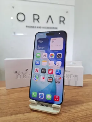Apple iPhone 15 Pro Max 256 GB Gray