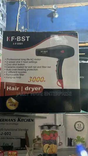 Hand Hair Dryer