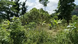 Land for Farming Purposes