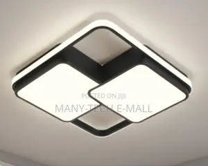 Decorative Ceiling Light